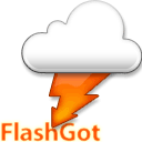 flashgot logo